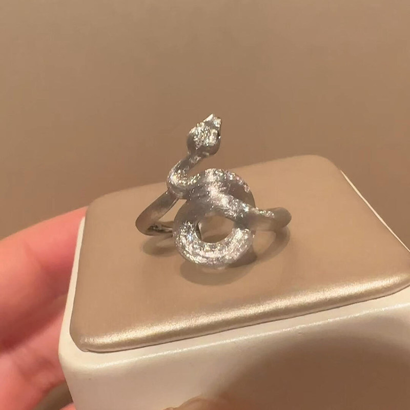 复古银色拉丝缠绕灵蛇戒指女