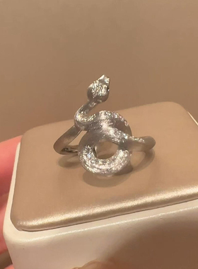 复古银色拉丝缠绕灵蛇戒指女