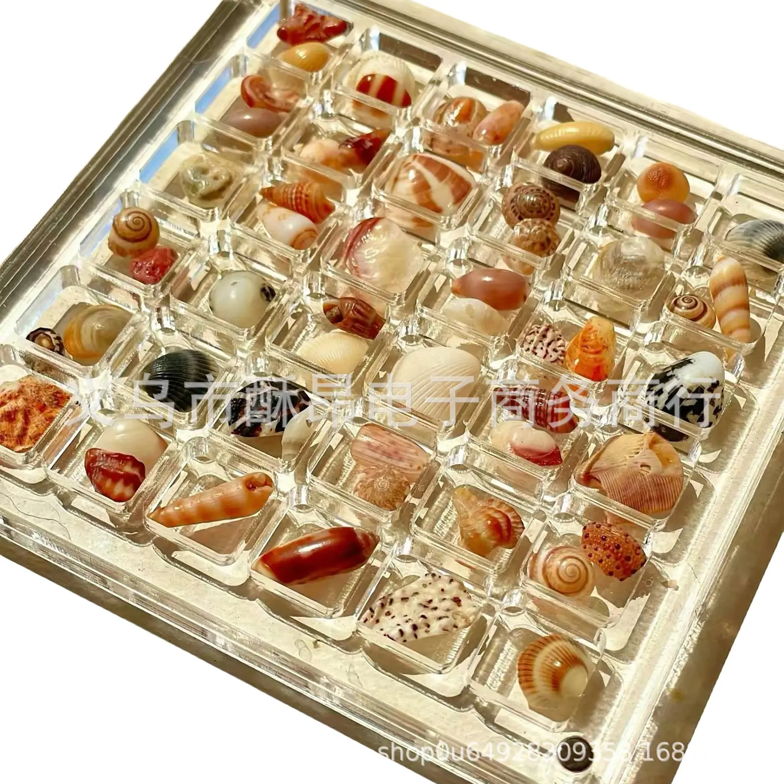ari magneti seel亚克力磁性贝壳展示盒收纳盒收藏盒