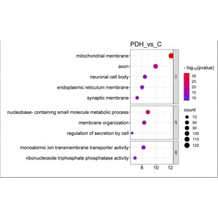 生信分析高分定制服务单细胞空间转录组分析结合深度学习AI算法服