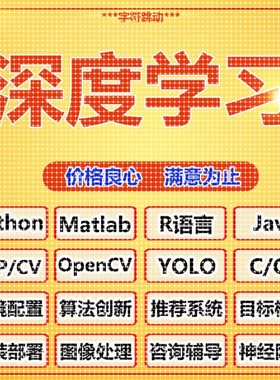 cnn卷积神经网络python机器强化学习jupyter代做yolo图像处理识别