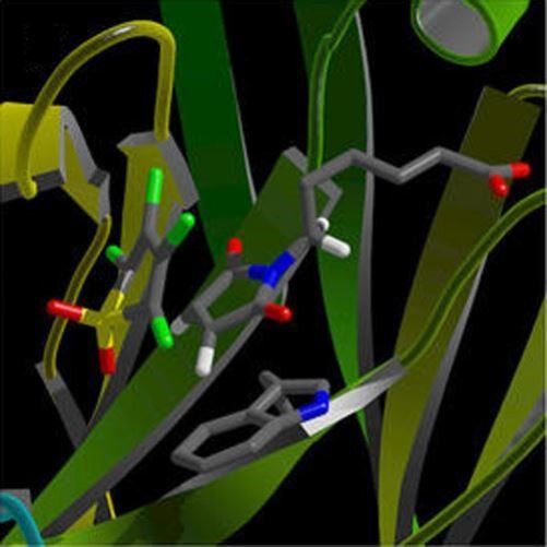 分子动力学计算服务 蛋白结构优化 分子模拟 药物设计 CADD