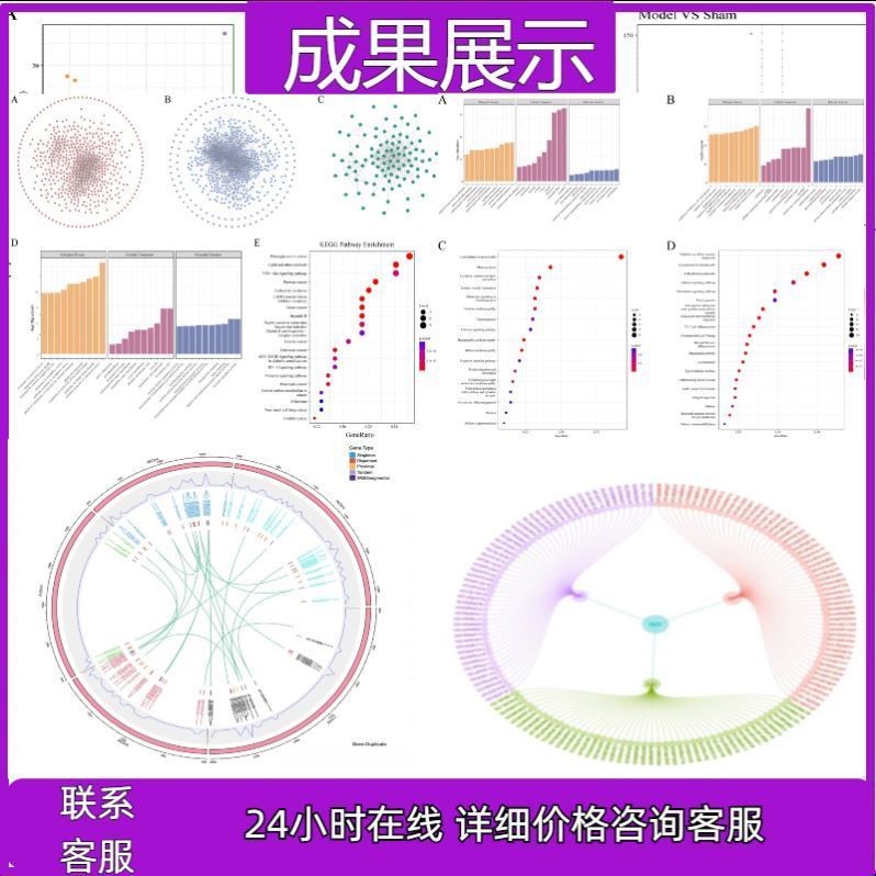 生信分析服务多组学联合分析TCGA GEO公共数据库挖掘孟德尔随机化