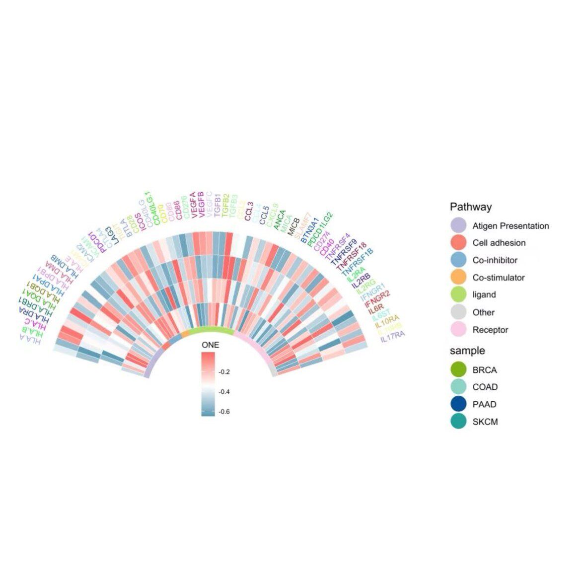 中药网络药理学