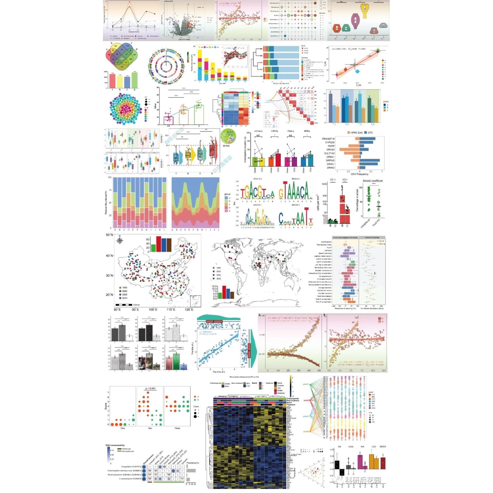 生信分析KM图森林图亚组分析交互作用限制性立方样条图服务