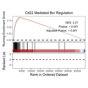 遗传学Chlp seq1对1辅导零基础到精通生信分析服务