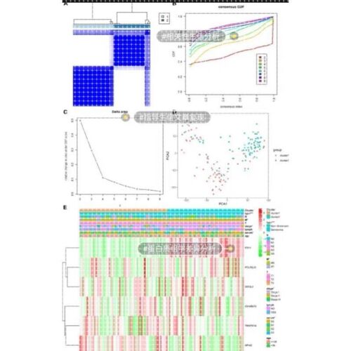生信分析单细胞转录组geo数据库挖掘测序分析网络药理分子对接