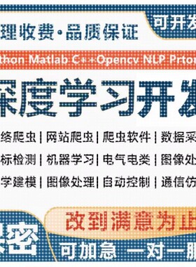 Python代编图像处理文字识别yolo接单halcon语义分割目标检测gan