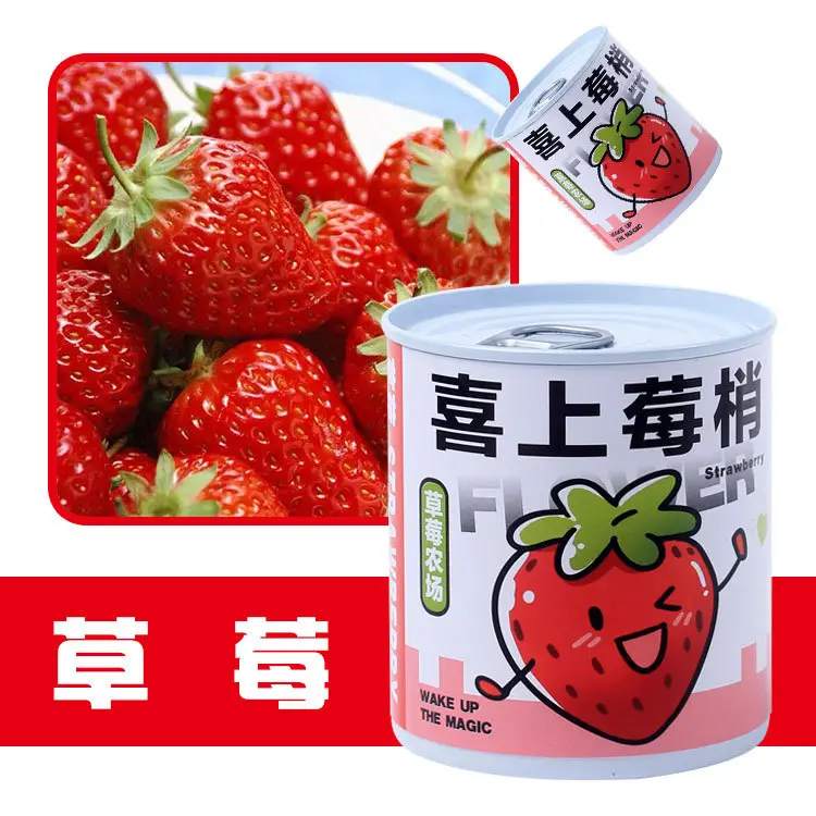 开学礼物易拉罐植物盲盒定制小室造型盆景