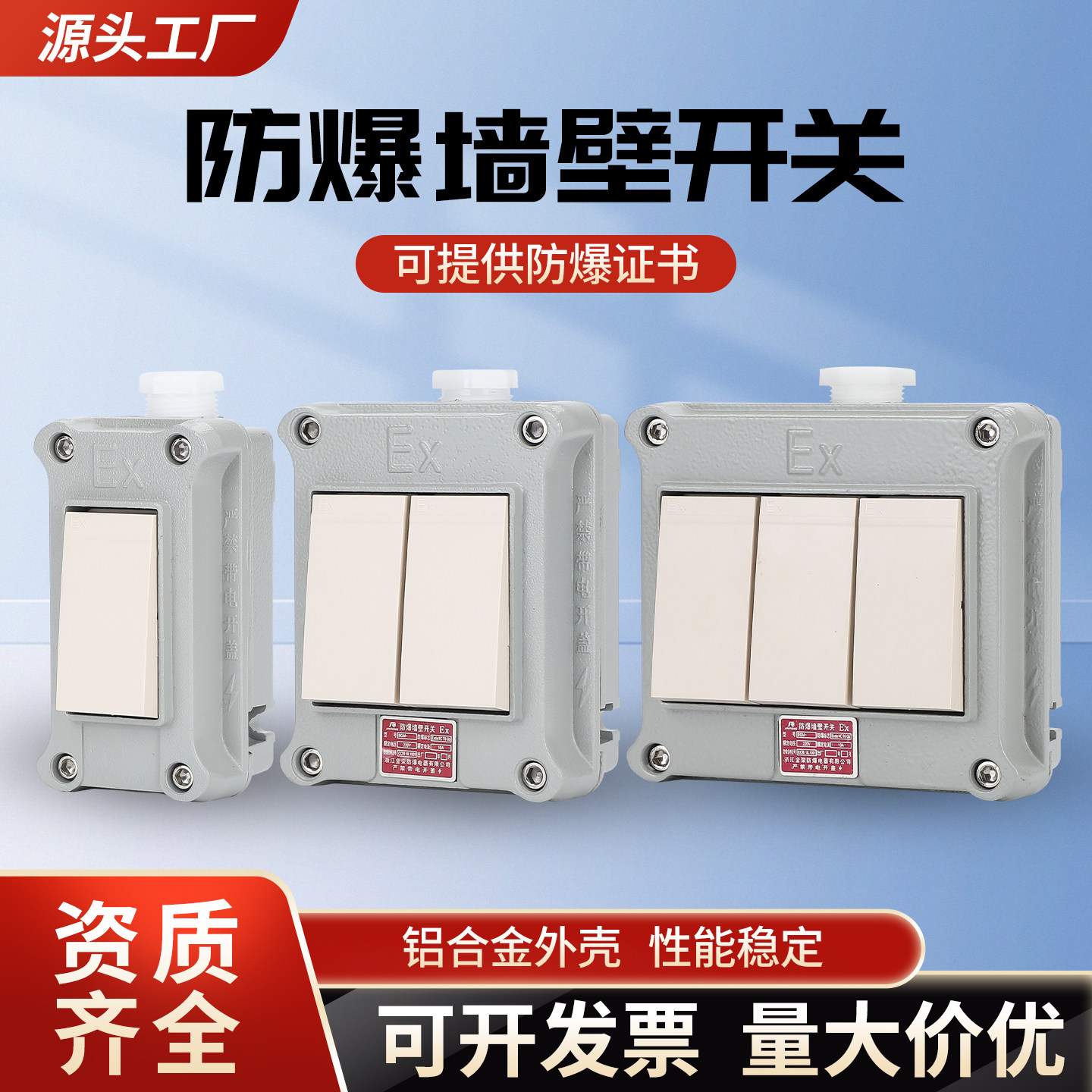 防爆墙壁开关220V10A86型