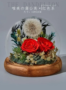 永生花玻璃罩绿色蒲公英宇宙球圣诞节生日送家人送朋友满减雕刻