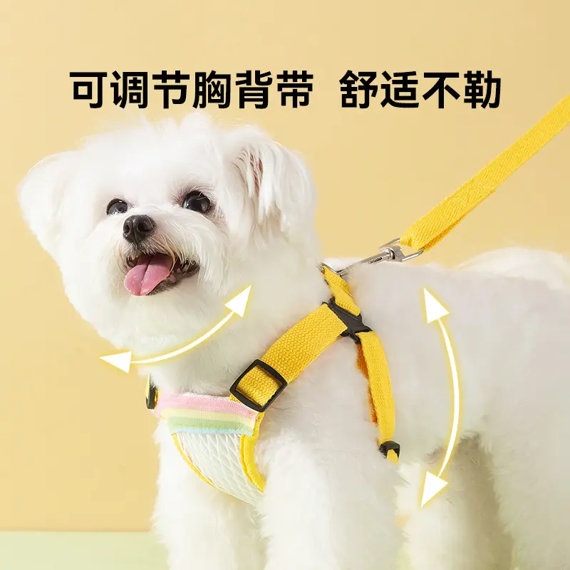 简约透气牵引绳小型犬泰迪外出可调节夏宠物狗狗用品狗牵引绳涤纶