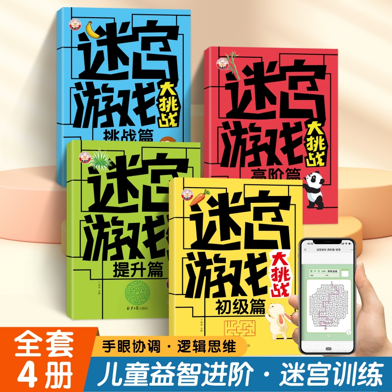 儿童走迷宫游戏大挑战初级高阶提升挑战幼儿园大班幼小衔接专注力训练3-6-9岁小学生注意力训练大脑思维左右脑开发益智游戏书籍