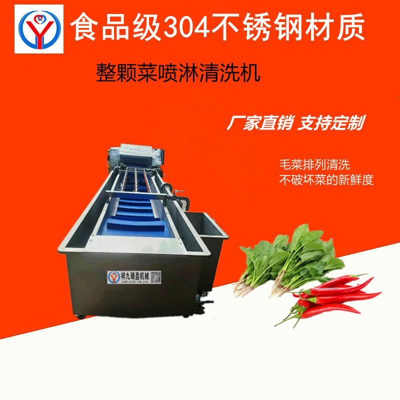 广西厨房净菜设备毛菜水果去泥大型洗菜设备超市蔬菜清洗风干包装