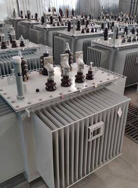 生产S20-200kva250kva315kva电力变压器10KVS20变压器厂家