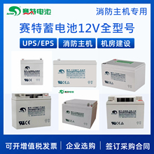 海湾泰和安北大青鸟气体灭火火灾报警控制器消防主机备用蓄电池