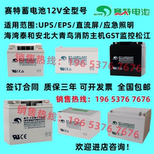 赛特BT-12M24AT蓄电池12V7AH12AH17AH24AH38AH海湾泰和安消防主机
