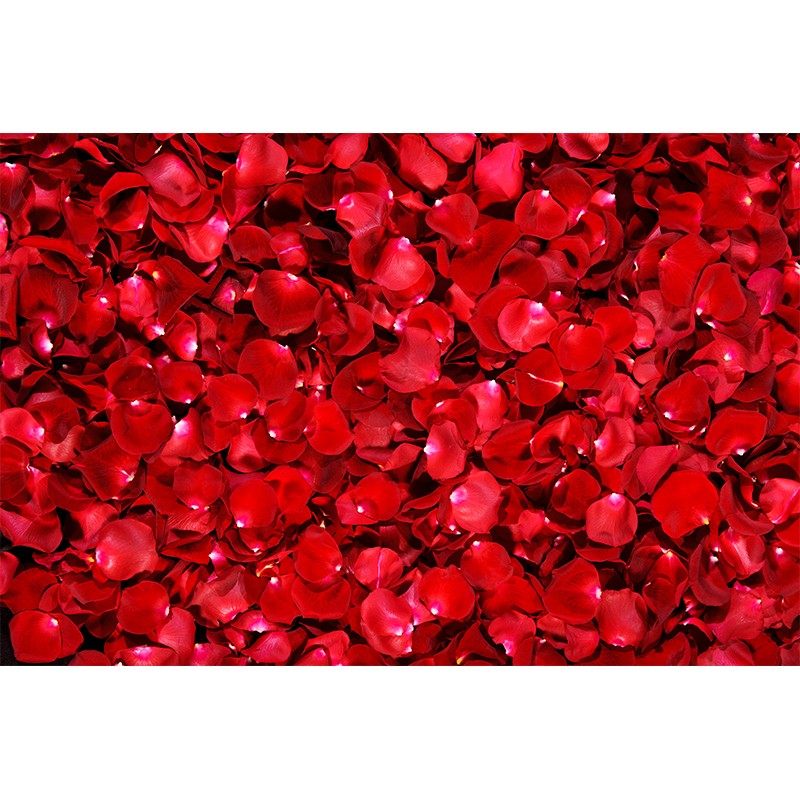 玫瑰客厅地毯卧室床边毯满铺大面C积沙发茶几垫浪漫红色花瓣飘窗