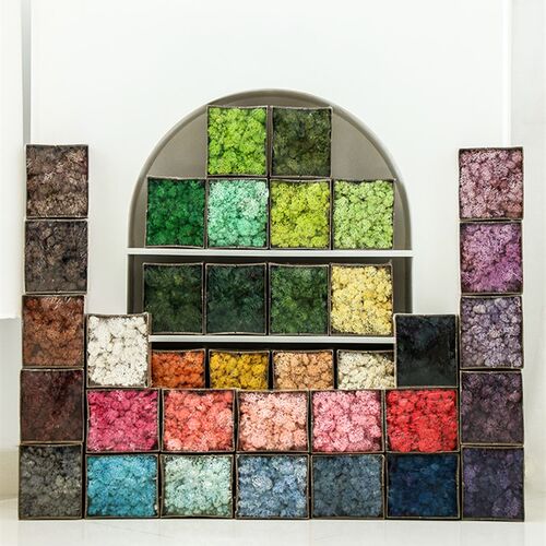 永生花苔藓无杂质diy手工材料包植物墙装饰多色配饰地衣绿植景观