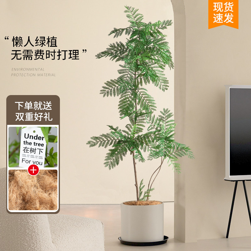 假花仿真花篮花楹仿真绿色植物永生花植物盆栽室内客厅装饰盆景摆
