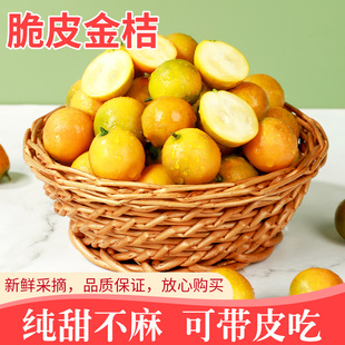 广西融安脆皮小金桔新鲜桔子当季水果蜜金柑桔纯甜孕妇整箱9斤