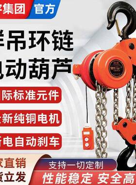 手动大吨位环链电动葫芦7.5T10T15T20T爬架倒链群吊80v提升机220