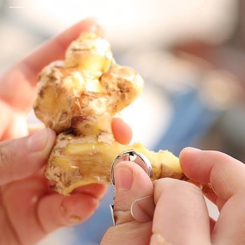 厨房创意果蔬刨板栗姜去皮器削皮刀姜蒜器生姜去皮神器剥蒜刨姜器