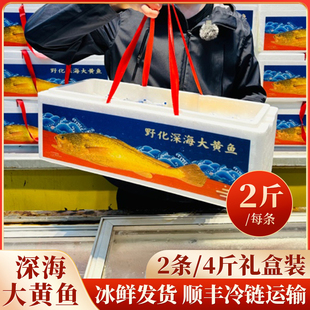 【礼盒装】深海大黄鱼特大2斤/条特大黄鱼送礼佳品野化大黄鱼