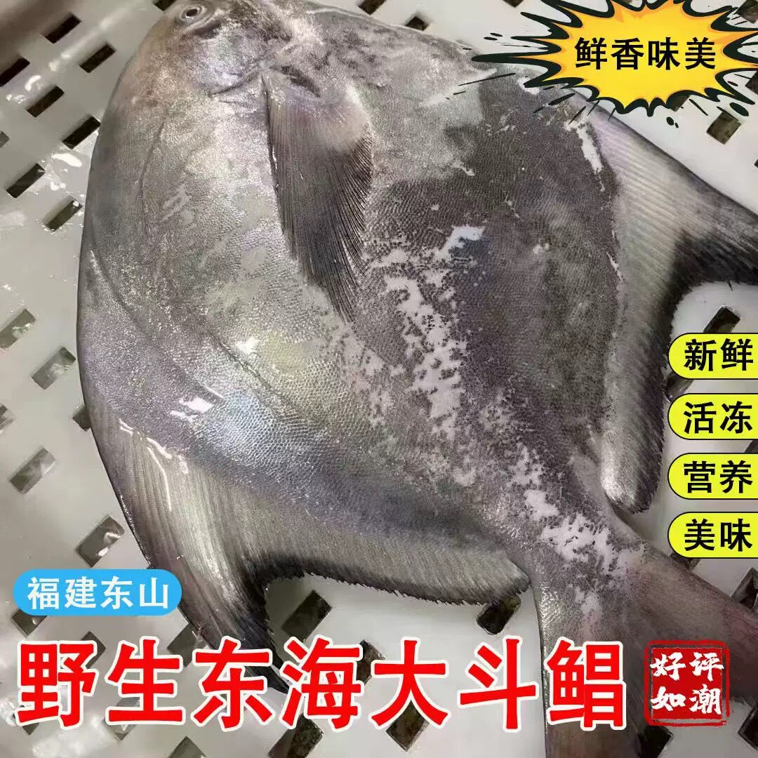 福建东山岛深海大斗鲳斗昌鱼鲜活速冻海鲜水产海鱼银鲳白鲳