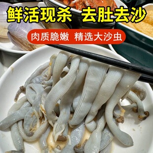 东山岛野沙虫去肚新鲜现杀冷冻海虫子泥虫土笋冻沙虫去沙免处理