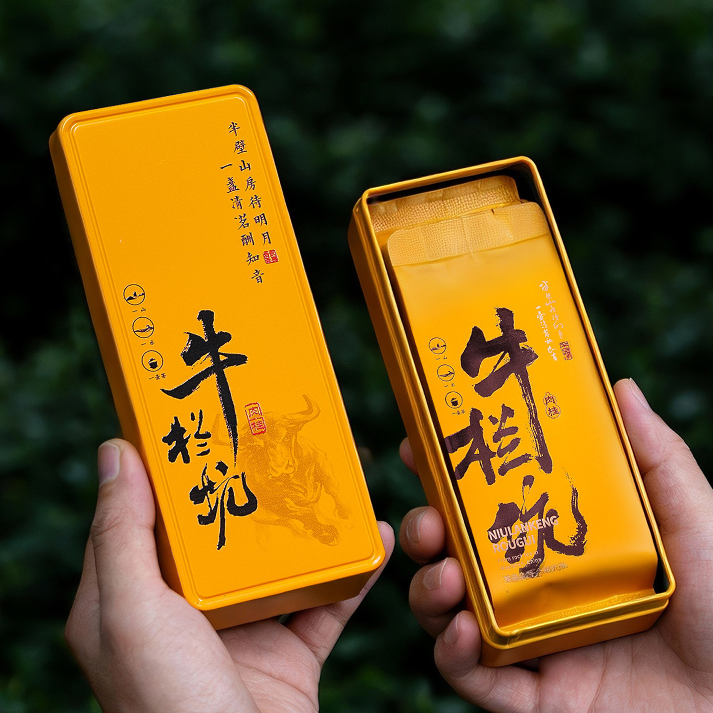 牛栏坑肉桂武夷岩茶正岩特级肉桂大红袍乌龙茶品鉴装