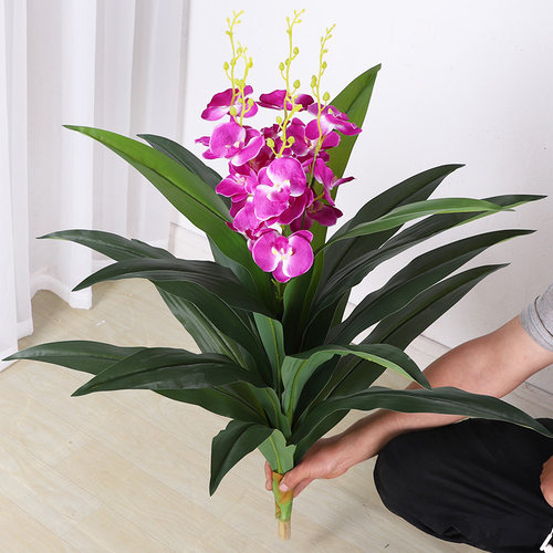 仿真植物兰花假树蝴蝶兰塑料花落地盆栽大型客厅家居盆景仿真绿植