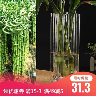 养富贵竹的玻璃花瓶观音竹转运水竹龙竹大号花器四方直筒落地摆件