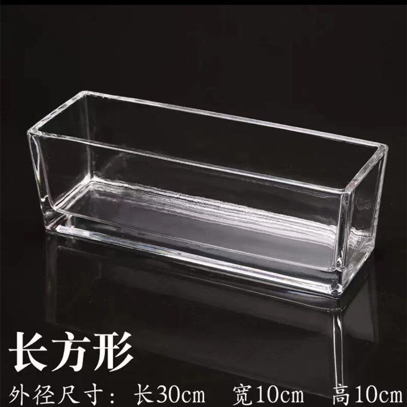 水晶玻璃花瓶长方形水培无土栽培透明厚实新款波点植物花盆长条缸