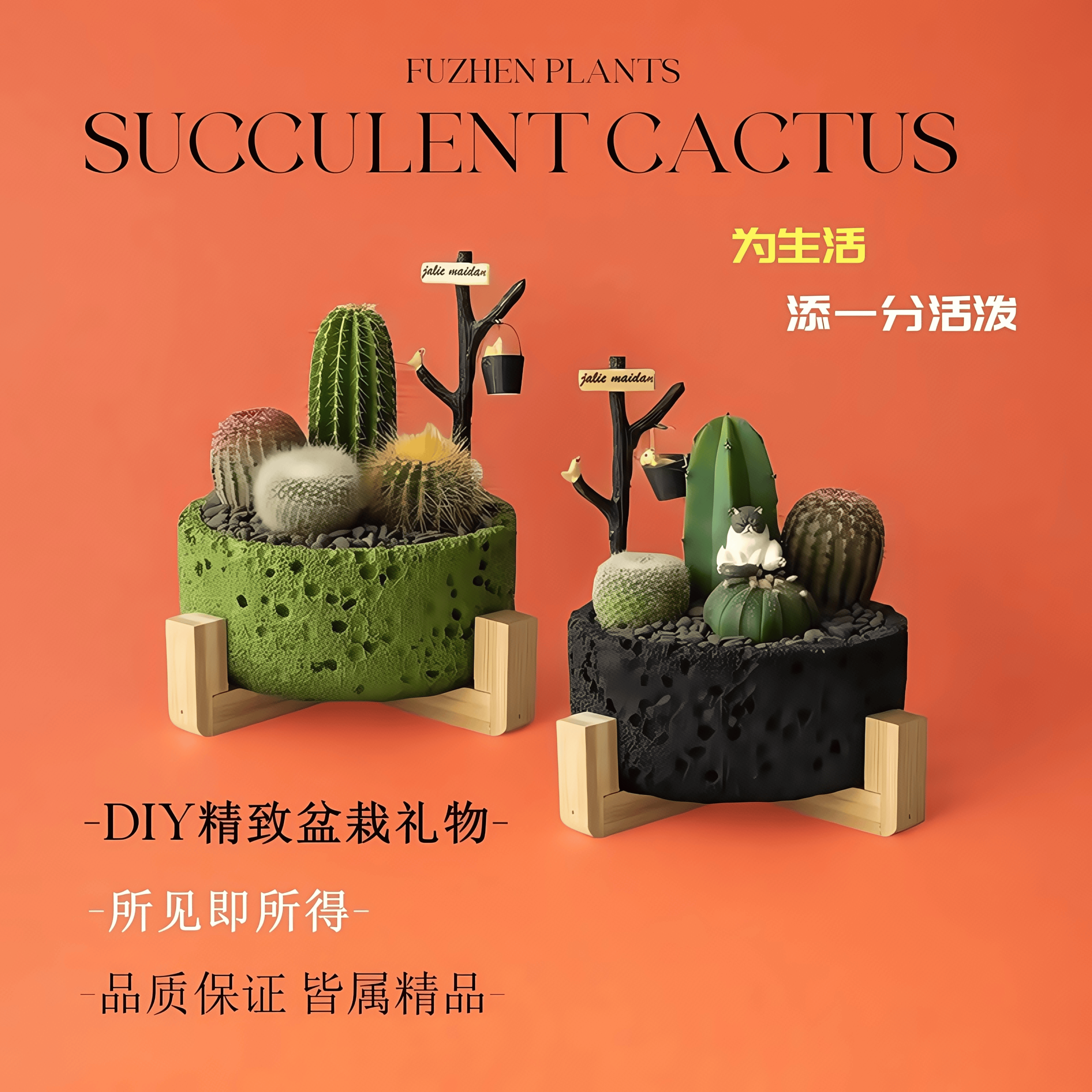 精致多肉植物仙人掌小仙人球盆栽组合办公室桌面绿植创意礼物送礼