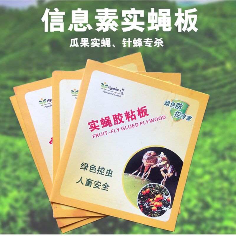 瓜果实蝇粘胶板诱实蝇粘虫板果实蝇纸贴针蜂诱捕器果树瓜果园专用