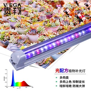 wega贵翔食虫植物生长灯仿太阳全光谱LED室内 家用多肉补光灯上色