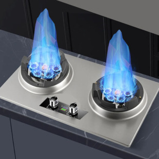 燃气灶双灶家宴用瓶罐装液化气天然气增压厨房霸王猛火灶煤气灶具