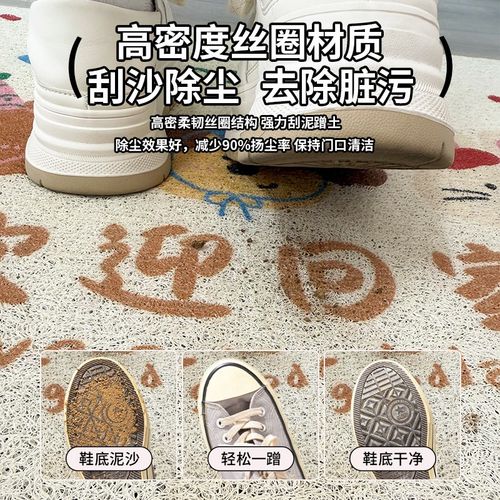 入户门口进门地垫丝圈家用耐脏免洗防滑垫门O垫地毯玄关门前脚踏