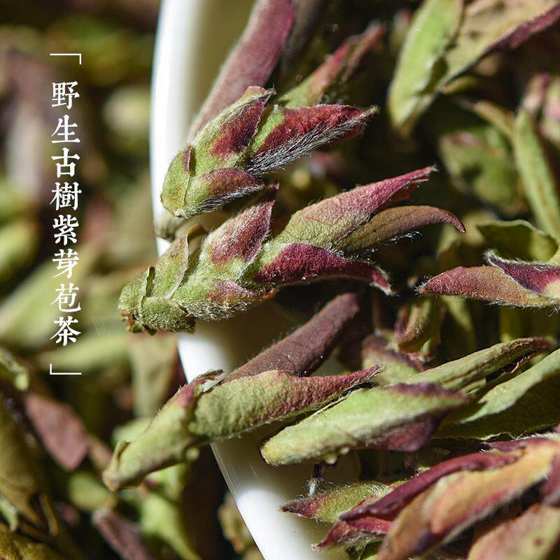 2023年新茶云南野生紫芽苞茶花香大雪山古树紫芽孢普洱茶生茶散茶