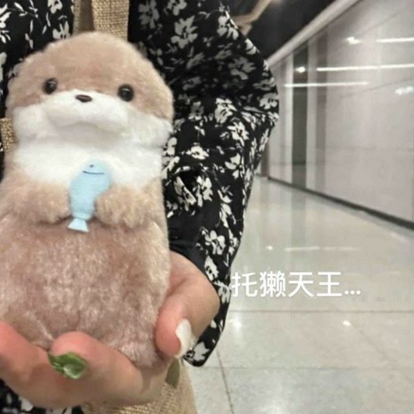 可爱小水獭抱鱼毛绒玩偶挂件公仔礼物李灿送礼可爱创意礼物