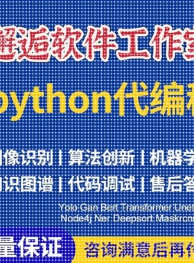 Python代编程强化深度机器学习图像识别知识图谱算法创新调试代码