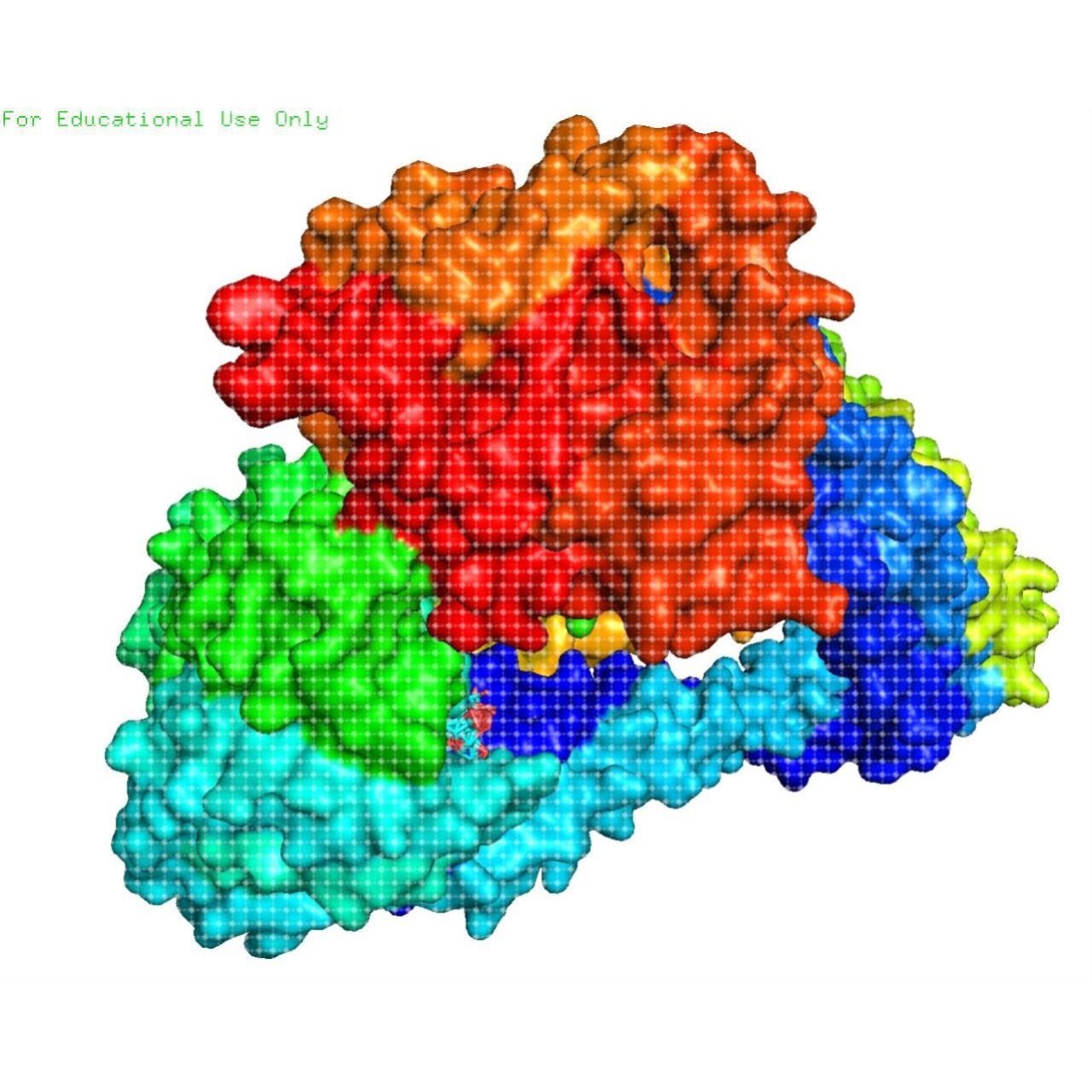 蛋白分子对接Discovery Studio分析3D结构2D结构图PyMOL