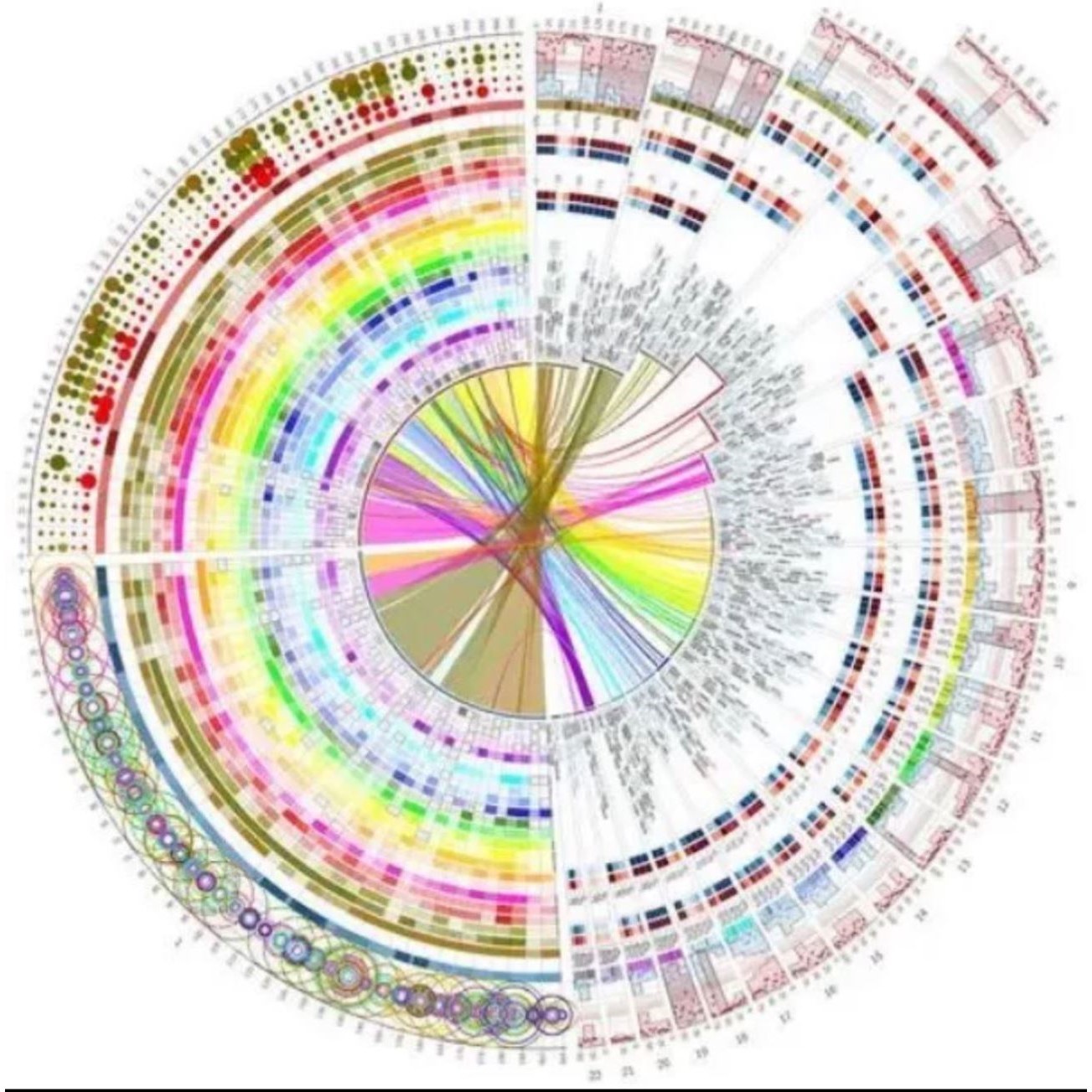 生物信息分析课程TCGA数据库挖掘GEO自学数据生信分析服务