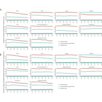 GBD数据库分析 GBD全球疾病负担数据库挖掘课题思路R代码代分析