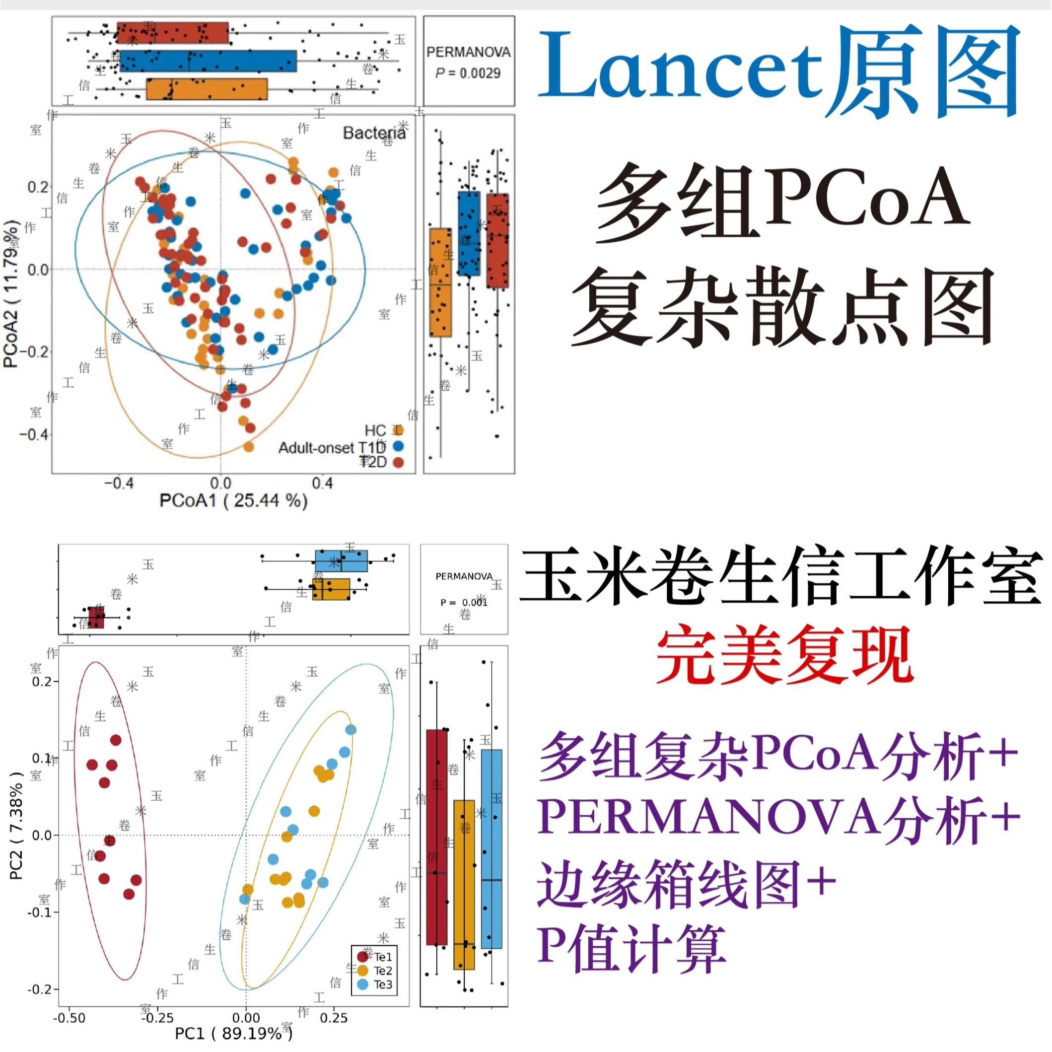 16S ITS 微生物多样性原始数据分析二代测序fastq数据分析