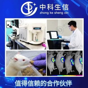 生信分析KM图森林图亚组分析交互作用限制性立方样条图