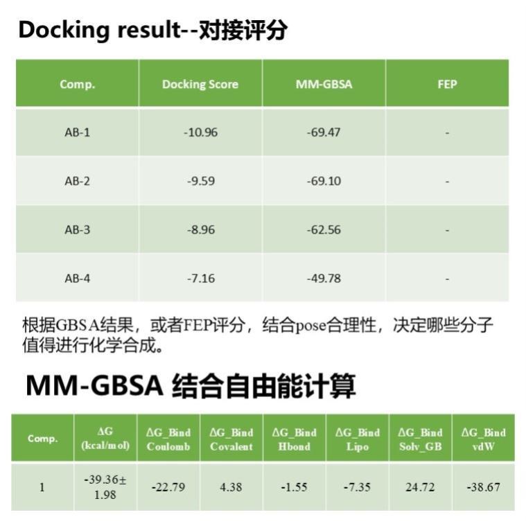 分子对接服务作图教学作用力分析计算模拟MMGBSA对接打分autodock