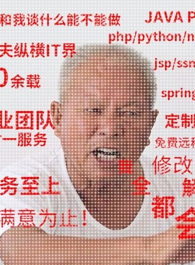 计算机程序设计java网站代编php程序vue框架app小程序python代做