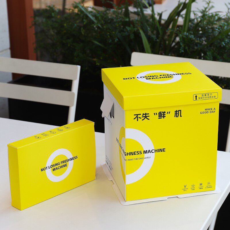 冰淇淋保温蛋糕盒6寸8寸10寸带冰袋冷藏保冷保鲜加厚夏生日蛋糕盒